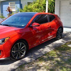 veloster2020tinted8.jpg